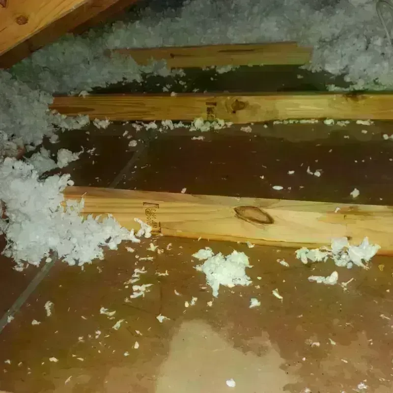 Attic Water Damage in Lynchburg, OH