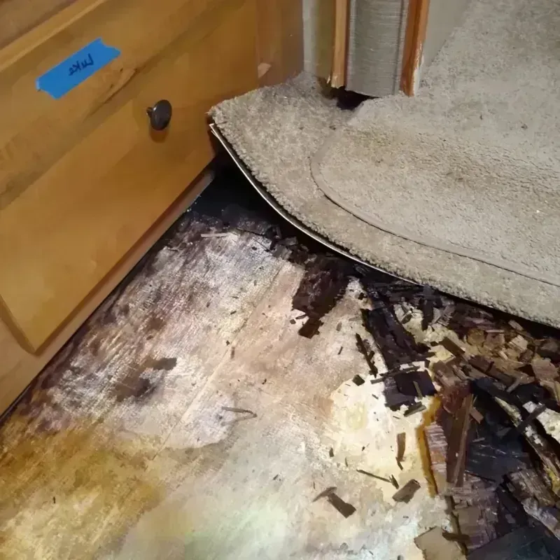 Wood Floor Water Damage in Lynchburg, OH